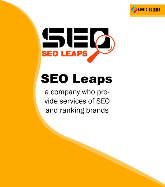 SEO Leaps Project-completed-by-logic-flicks