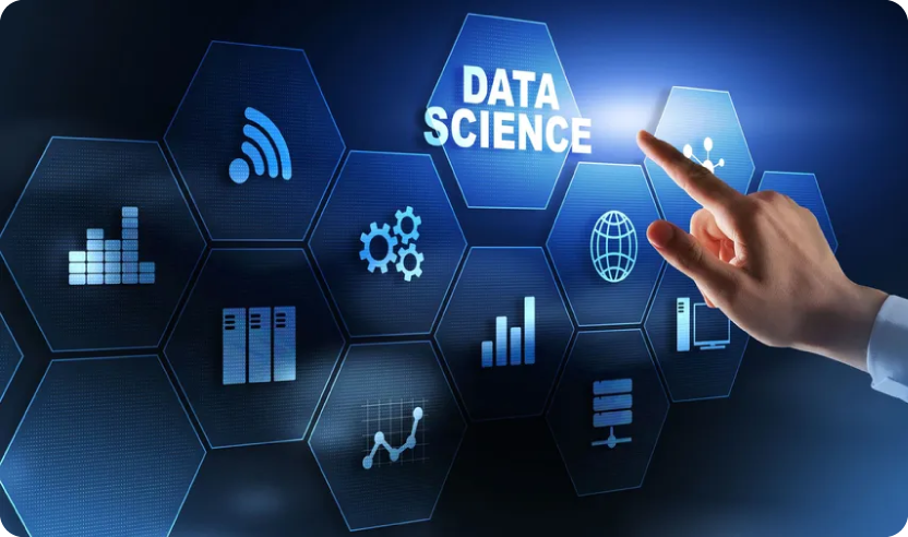Data Science services by logic flicks